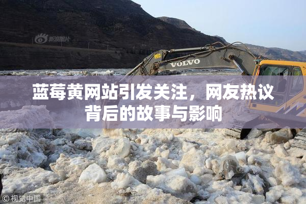 蓝莓黄网站引发关注，网友热议背后的故事与影响