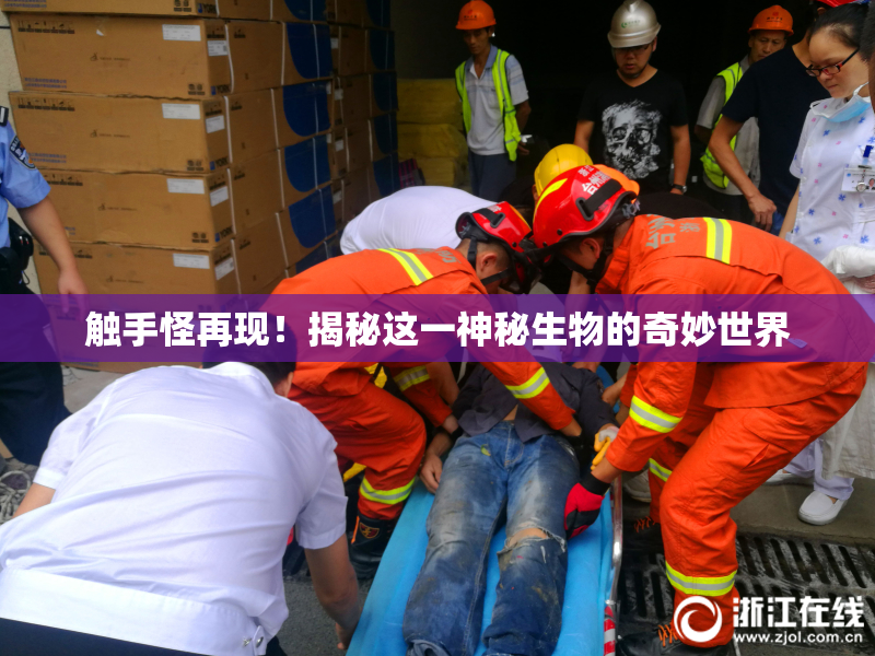 触手怪再现！揭秘这一神秘生物的奇妙世界