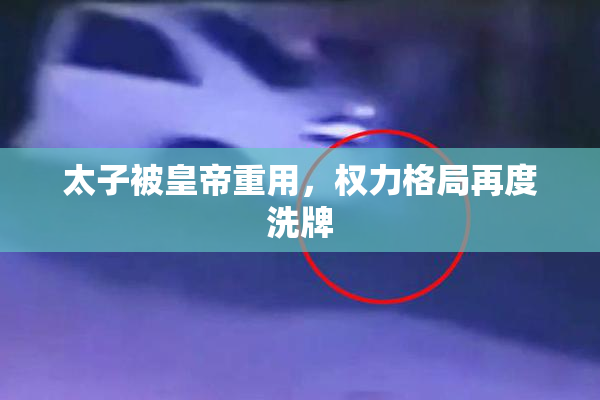 太子被皇帝重用，权力格局再度洗牌