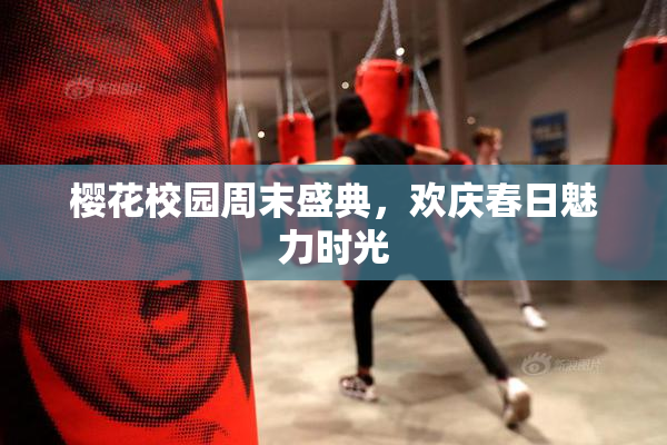 樱花校园周末盛典，欢庆春日魅力时光