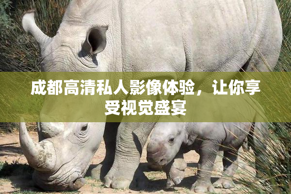 成都高清私人影像体验，让你享受视觉盛宴