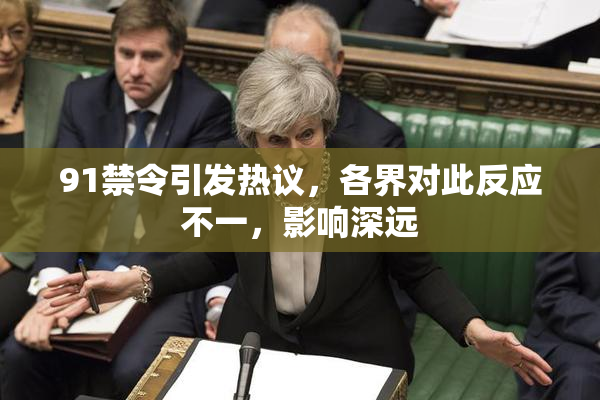 91禁令引发热议，各界对此反应不一，影响深远