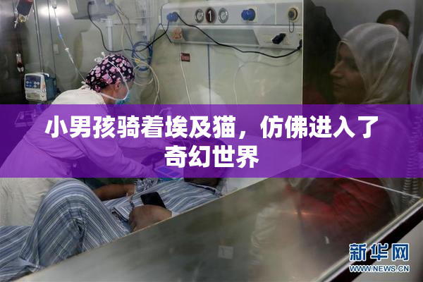 小男孩骑着埃及猫，仿佛进入了奇幻世界