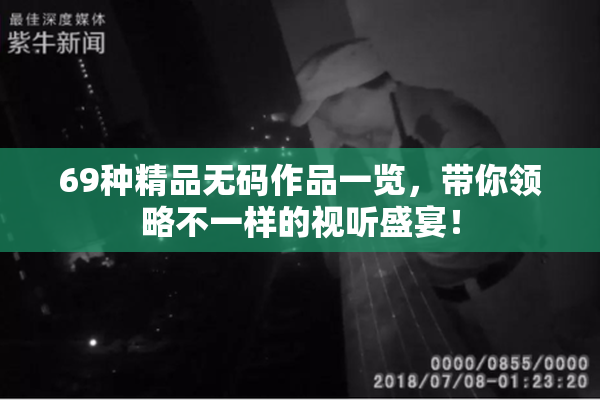 69种精品无码作品一览，带你领略不一样的视听盛宴！