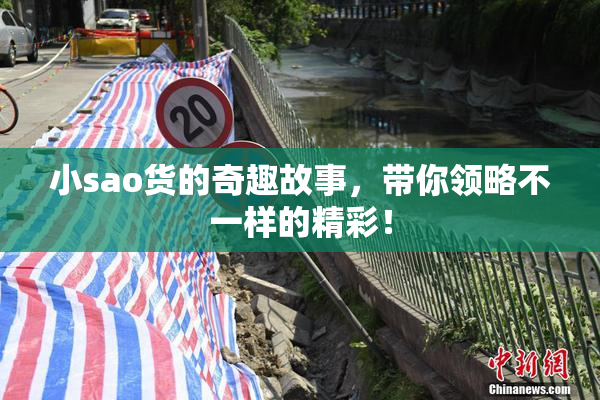 小sao货的奇趣故事，带你领略不一样的精彩！