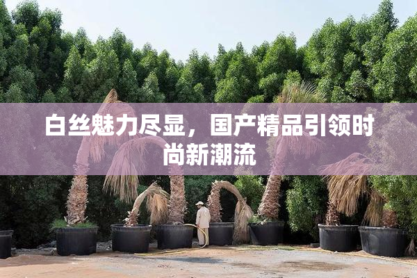白丝魅力尽显，国产精品引领时尚新潮流