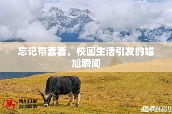 忘记带套套，校园生活引发的尴尬瞬间