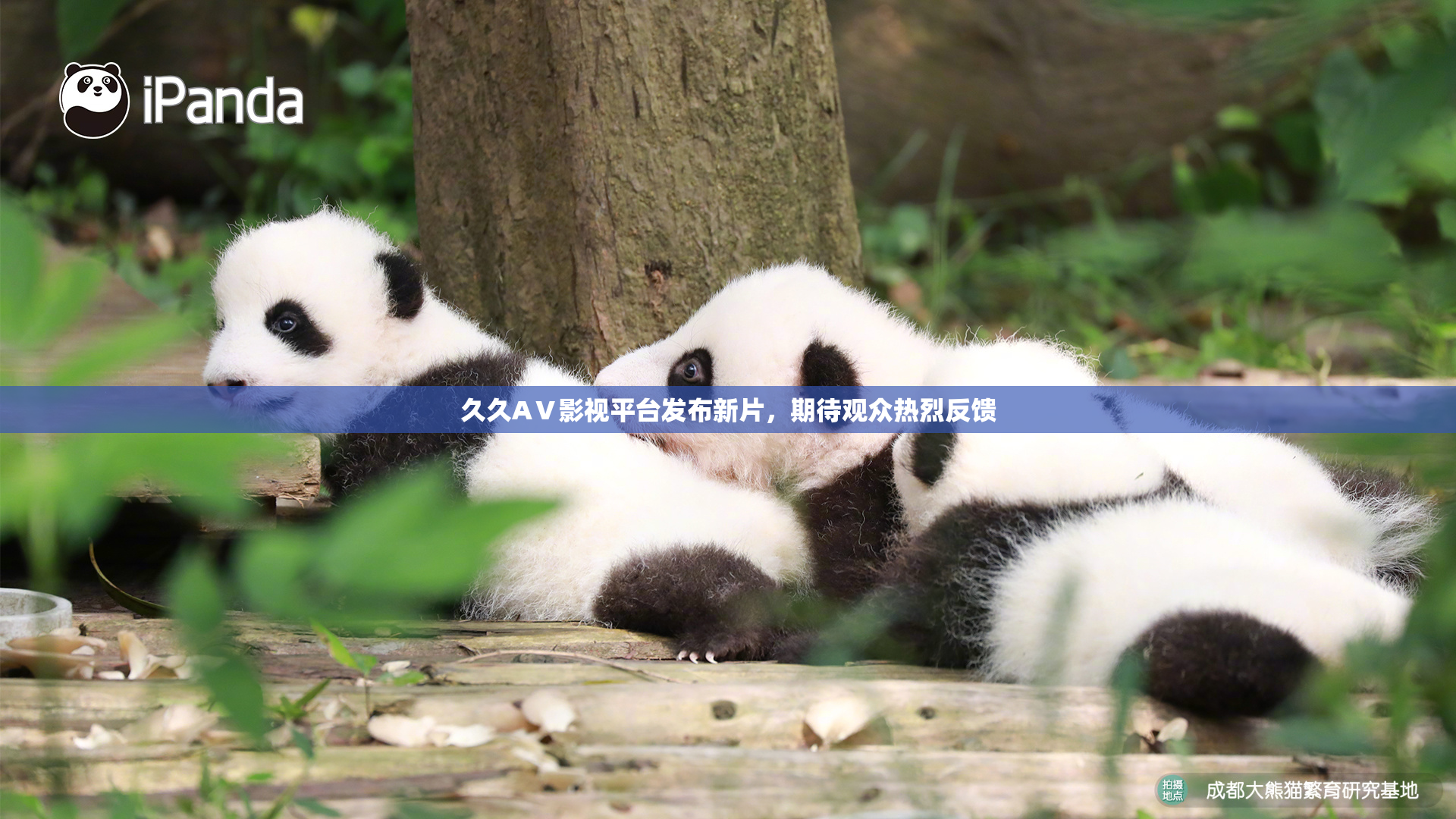 久久AⅤ影视平台发布新片，期待观众热烈反馈