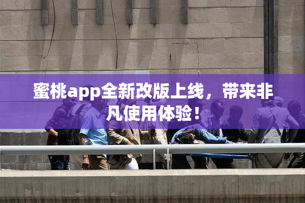 蜜桃app全新改版上线，带来非凡使用体验！