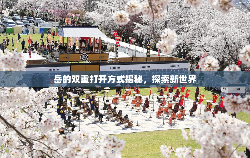 岳的双重打开方式揭秘，探索新世界
