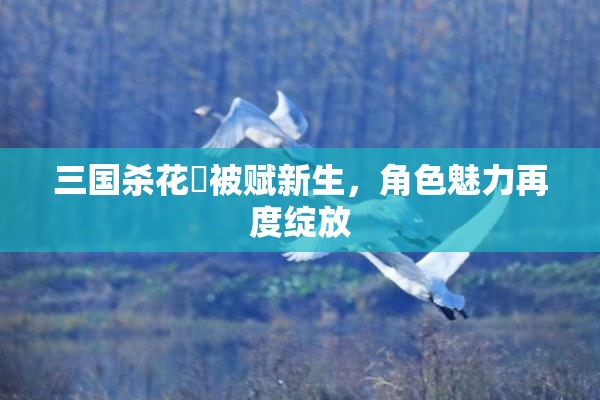 三国杀花鬘被赋新生，角色魅力再度绽放