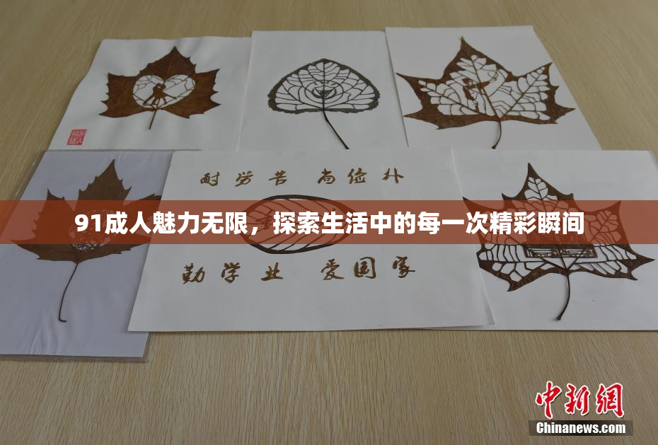 91成人魅力无限，探索生活中的每一次精彩瞬间
