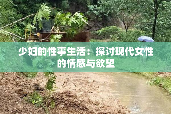少妇的性事生活：探讨现代女性的情感与欲望