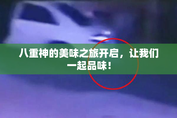 八重神的美味之旅开启，让我们一起品味！