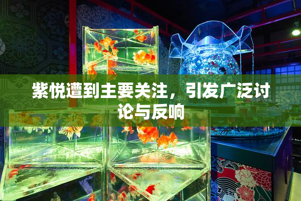 紫悦遭到主要关注，引发广泛讨论与反响
