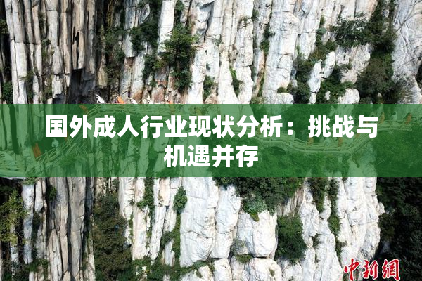 国外成人行业现状分析：挑战与机遇并存