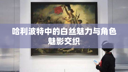 哈利波特中的白丝魅力与角色魅影交织