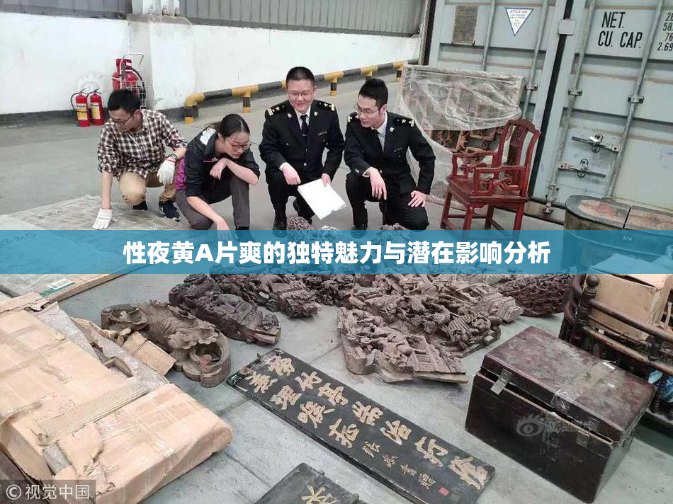 性夜黄A片爽的独特魅力与潜在影响分析