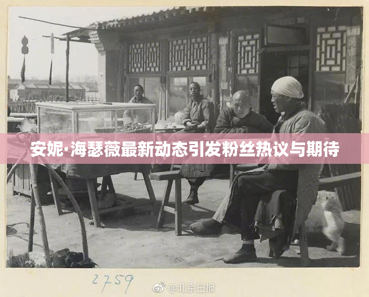安妮·海瑟薇最新动态引发粉丝热议与期待