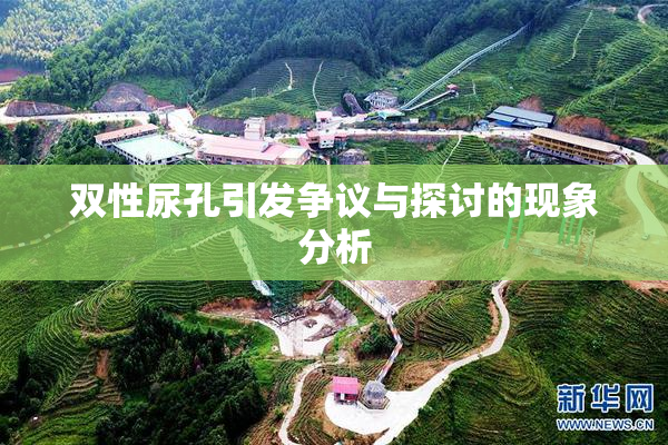 双性尿孔引发争议与探讨的现象分析