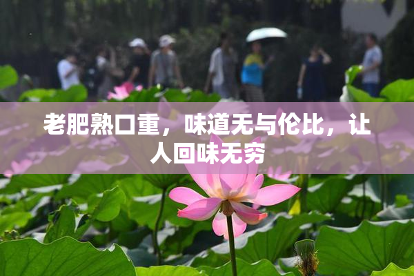 老肥熟口重，味道无与伦比，让人回味无穷