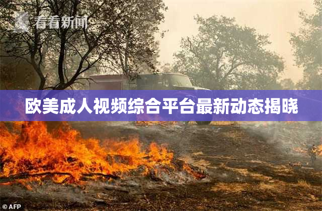 欧美成人视频综合平台最新动态揭晓