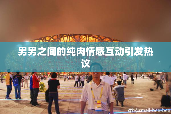 男男之间的纯肉情感互动引发热议