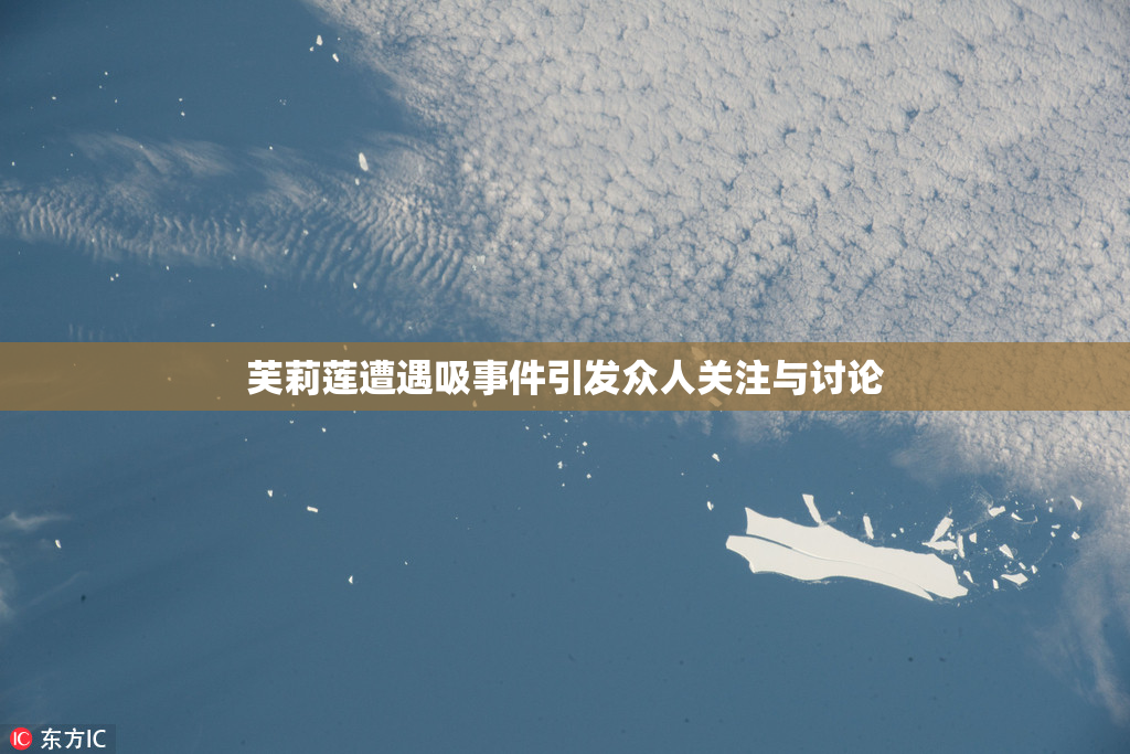 芙莉莲遭遇吸事件引发众人关注与讨论