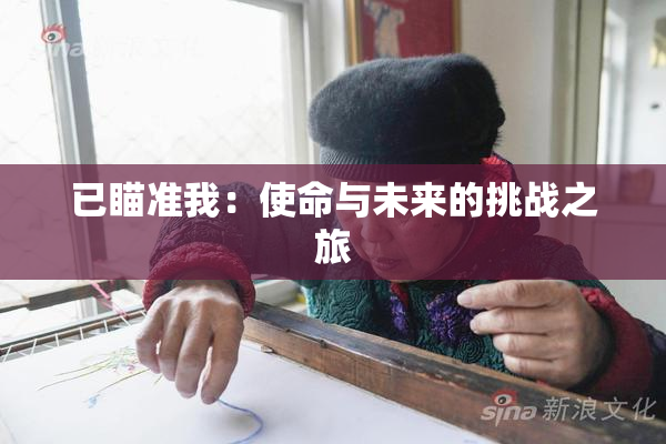 已瞄准我：使命与未来的挑战之旅