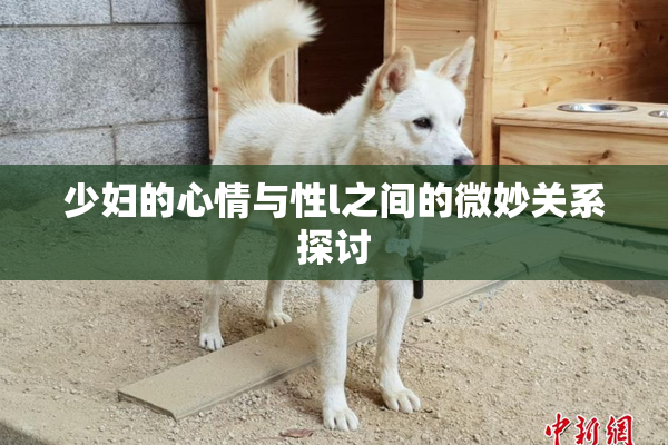 少妇的心情与性l之间的微妙关系探讨