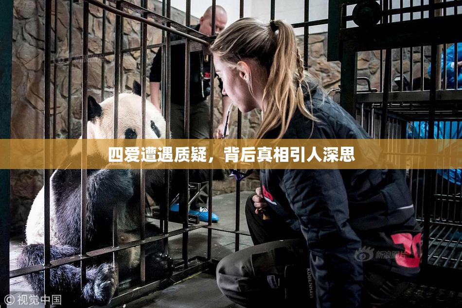四爱遭遇质疑，背后真相引人深思