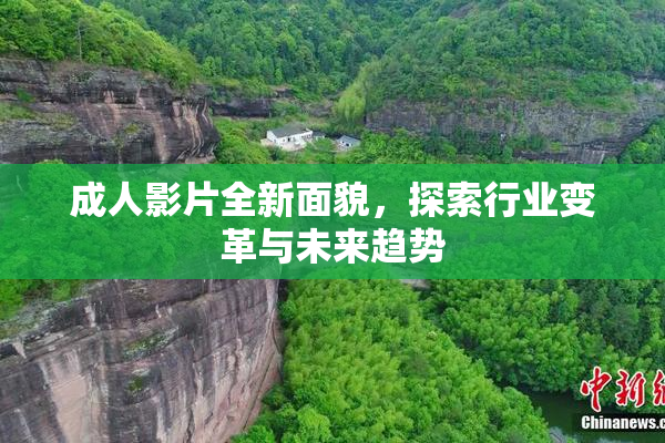 成人影片全新面貌，探索行业变革与未来趋势