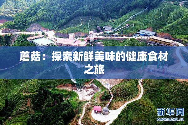 蘑菇：探索新鲜美味的健康食材之旅