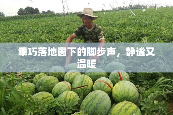 乖巧落地窗下的脚步声，静谧又温暖