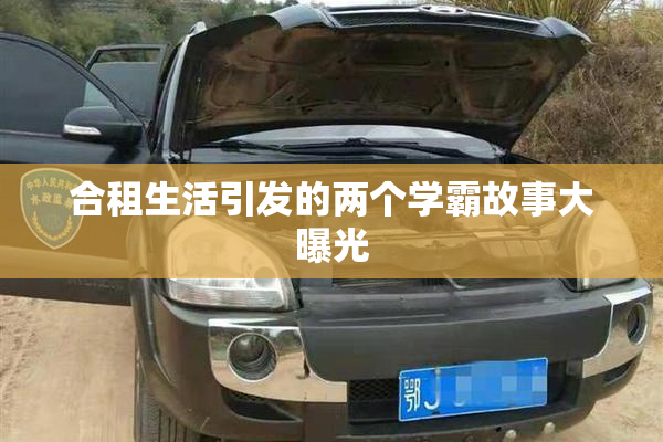 合租生活引发的两个学霸故事大曝光
