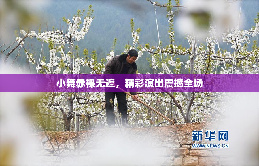 小舞赤裸无遮，精彩演出震撼全场
