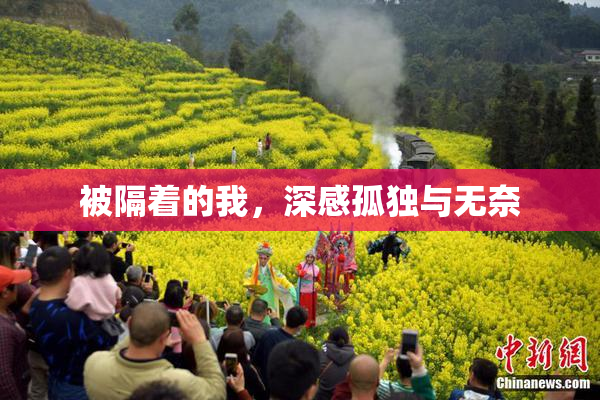 被隔着的我，深感孤独与无奈