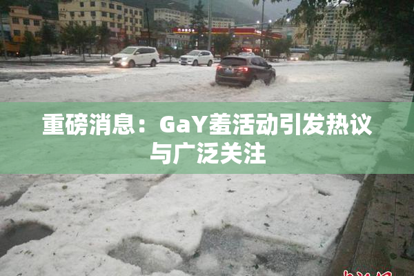 重磅消息：GaY羞活动引发热议与广泛关注