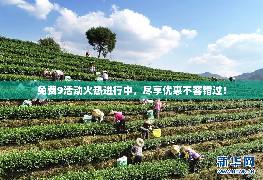 免费9活动火热进行中，尽享优惠不容错过！