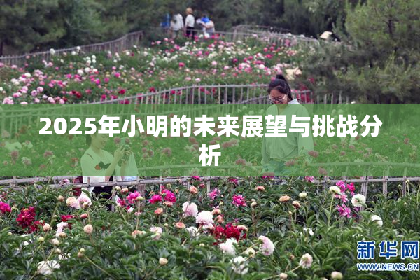 2025年小明的未来展望与挑战分析