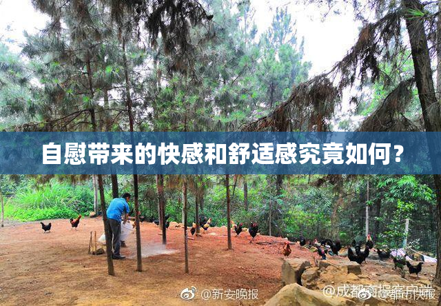 自慰带来的快感和舒适感究竟如何？