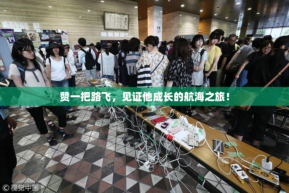 赞一把路飞，见证他成长的航海之旅！