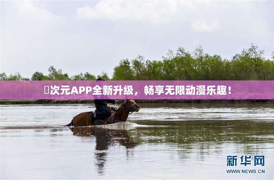 囧次元APP全新升级，畅享无限动漫乐趣！
