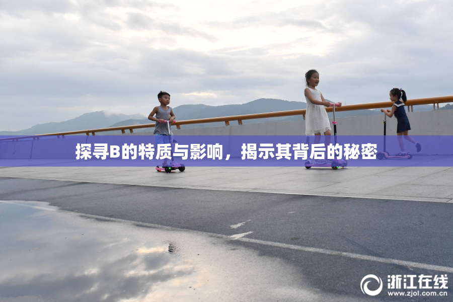 探寻B的特质与影响，揭示其背后的秘密