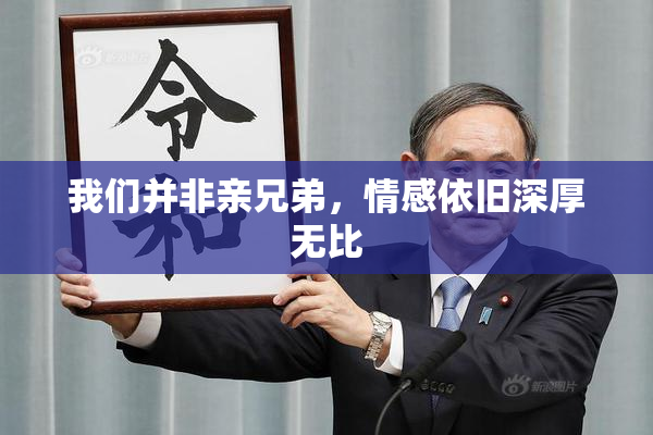 我们并非亲兄弟，情感依旧深厚无比