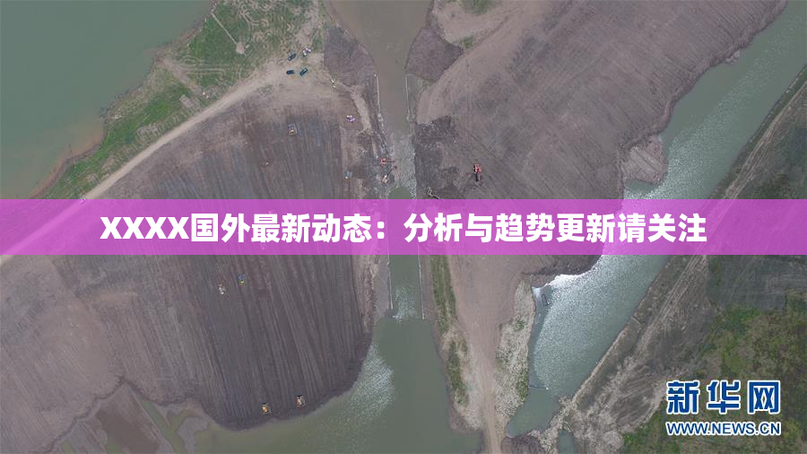 XXXX国外最新动态：分析与趋势更新请关注