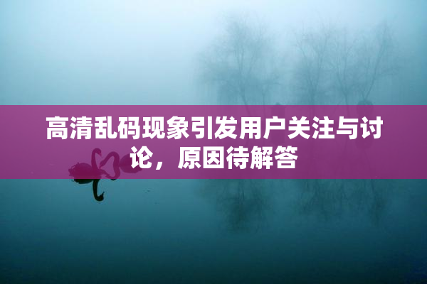 高清乱码现象引发用户关注与讨论，原因待解答