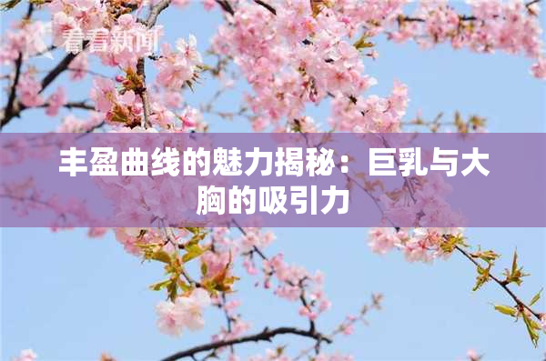 丰盈曲线的魅力揭秘：巨乳与大胸的吸引力