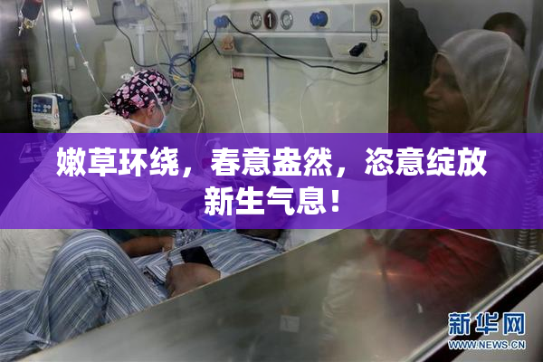 嫩草环绕，春意盎然，恣意绽放新生气息！