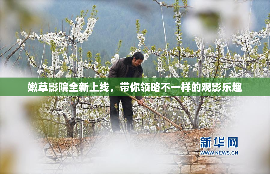嫩草影院全新上线，带你领略不一样的观影乐趣